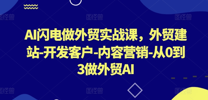 AI闪电做外贸实战课，​外贸建站-开发客户-内容营销-从0到3做外贸AI(更新)壹加壹聊项目站壹加壹聊项目