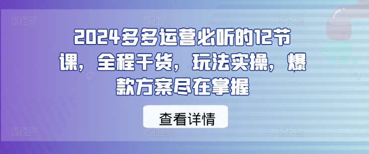 2024多多运营必听的12节课，全程干货，玩法实操，爆款方案尽在掌握壹加壹聊项目站壹加壹聊项目