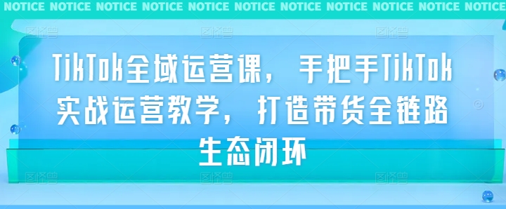 TikTok全域运营课，手把手TikTok实战运营教学，打造带货全链路生态闭环壹加壹聊项目站壹加壹聊项目