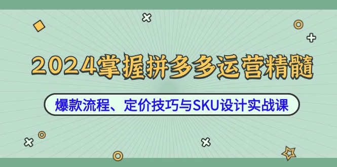 2024掌握拼多多运营精髓：爆款流程、定价技巧与SKU设计实战课壹加壹聊项目站壹加壹聊项目