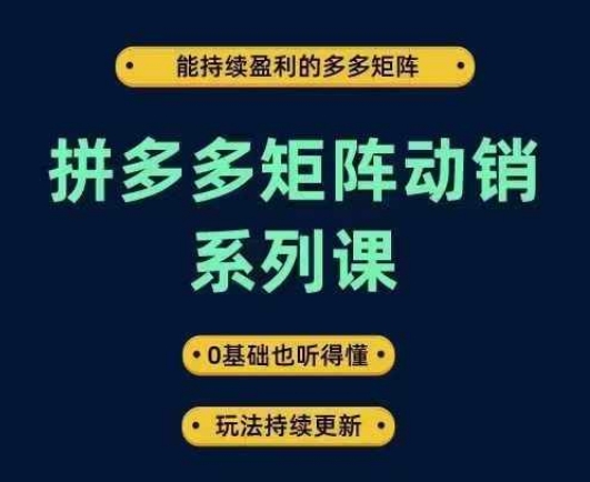 拼多多矩阵动销系列课，能持续盈利的多多矩阵，0基础也听得懂，玩法持续更新壹加壹聊项目站壹加壹聊项目