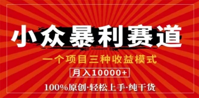 视频号最新爆火赛道，三种可收益模式，0粉新号条条原创条条热门 日入1000+壹加壹聊项目站壹加壹聊项目
