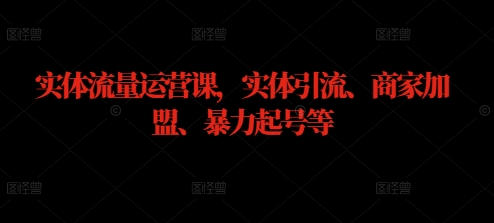 实体流量运营课，实体引流、商家加盟、暴力起号等壹加壹聊项目站壹加壹聊项目