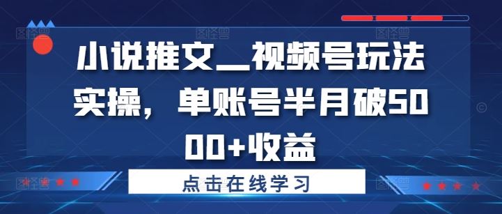 小说推文—视频号玩法实操，单账号半月破5000+收益壹加壹聊项目站壹加壹聊项目