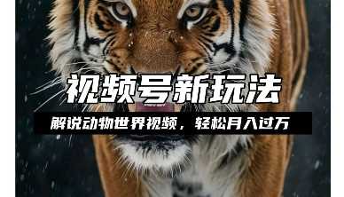 利用动物世界解说视频，赚分成计划收益，轻松月入过W，操作简单【揭秘】壹加壹聊项目站壹加壹聊项目