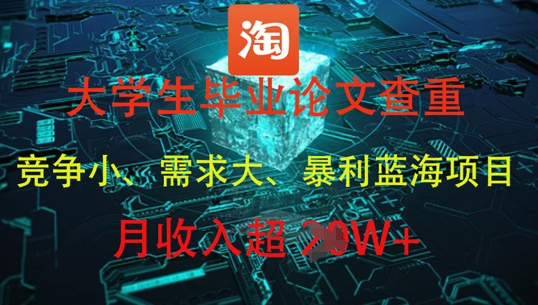 大学生毕业论文查重，暴利蓝海项目，月收入过1W+壹加壹聊项目站壹加壹聊项目