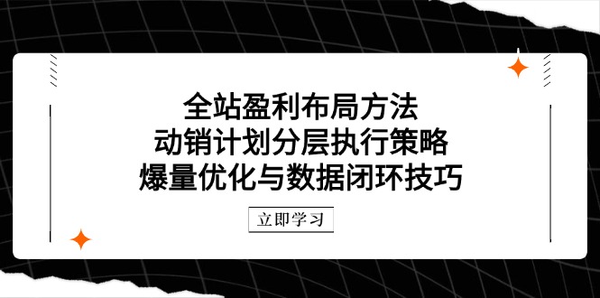 全站盈利布局方法：动销计划分层执行策略，爆量优化与数据闭环技巧壹加壹聊项目站壹加壹聊项目