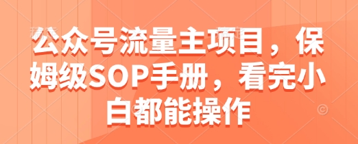 公众号流量主项目，保姆级SOP手册，看完小白都能操作壹加壹聊项目站壹加壹聊项目