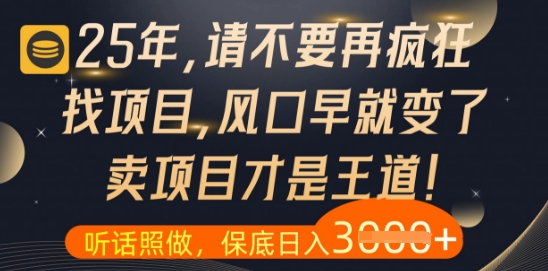 什么？25年你还在疯狂找项目做，醒醒吧，看完这些你全都懂了【揭秘】壹加壹聊项目站壹加壹聊项目