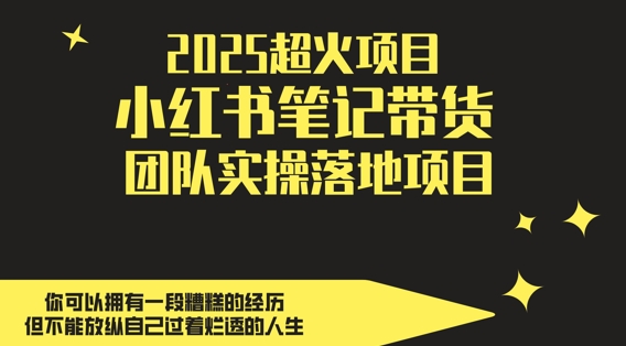 2025超火项目，副业最佳选择，小红书笔记带货团队实操落地项目，，轻松日入5张壹加壹聊项目站壹加壹聊项目
