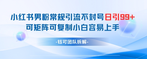 小红书男粉常规引流不封号日引99+变现简单 可矩阵可复制小白容易上手壹加壹聊项目站壹加壹聊项目
