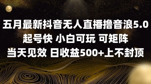2025五月最新无人直播撸音浪单日产出5张+实操教程【揭秘】壹加壹聊项目站壹加壹聊项目