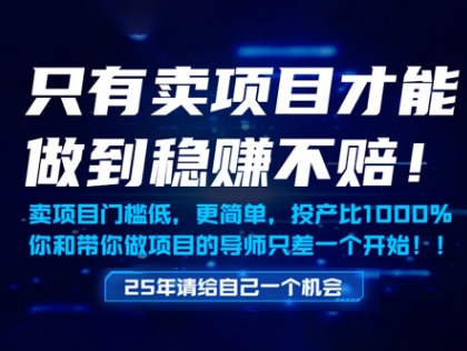 只有卖项目才能做到稳挣不赔，门槛低，更简单，你也可以年入百个W【揭秘】壹加壹聊项目站壹加壹聊项目