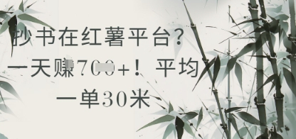 抄书在小红薯平台？平均一单30米，一天收益几张！壹加壹聊项目站壹加壹聊项目