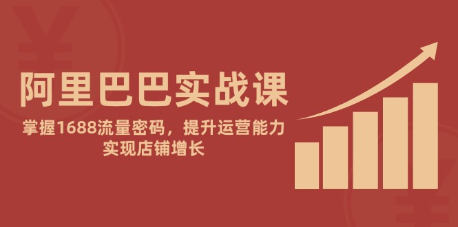 阿里巴巴实战课：掌握1688流量密码，提升运营能力，实现店铺增长壹加壹聊项目站壹加壹聊项目