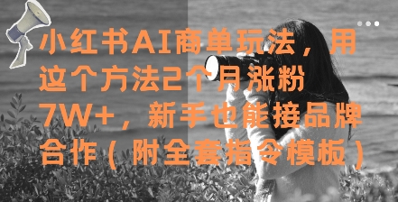 小红书AI商单玩法，用这个方法2个月涨粉7W+，新手也能接品牌合作(附全套指令模板)壹加壹聊项目站壹加壹聊项目