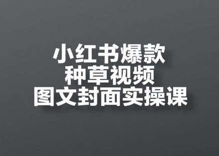 小红书爆款种草视频图文封面实操课，​开店、选品、引流、变现全流程壹加壹聊项目站壹加壹聊项目