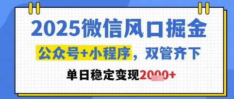 2025微信风口掘金，公众号+小程序双管齐下，单日稳定变现1k+【揭秘】壹加壹聊项目站壹加壹聊项目