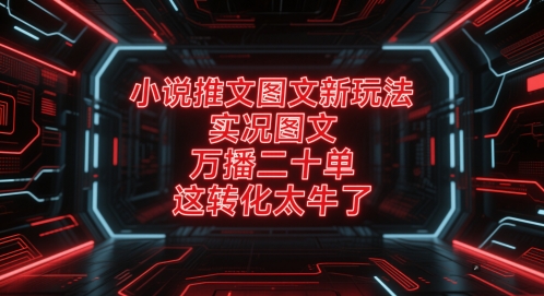 小说推文图文新玩法，实况图文，万播二十单，这转化太牛了！壹加壹聊项目站壹加壹聊项目