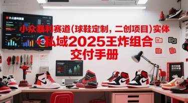 小众暴利赛道(球鞋定制，二创项目)实体+私域2025王炸组合  交付手册壹加壹聊项目站壹加壹聊项目