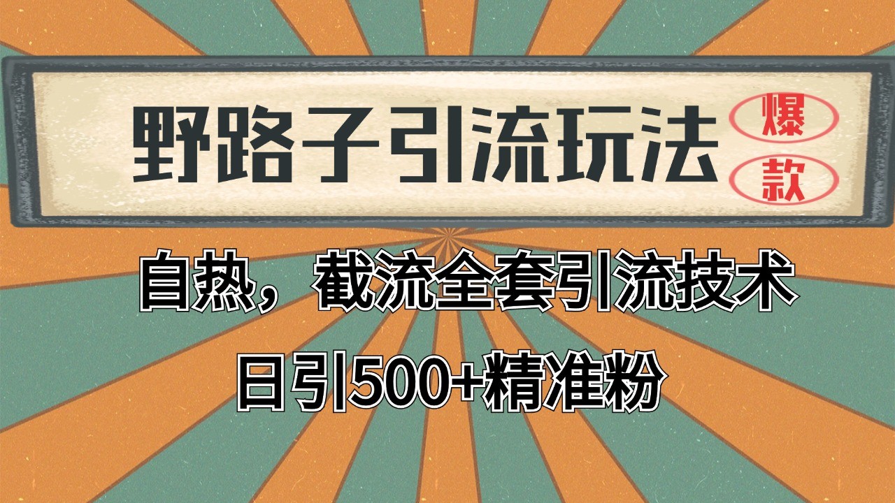 2024首发野路子引流玩法截流自热全平台打法，全自动引流【日引2000+精准客户】壹加壹聊项目站壹加壹聊项目