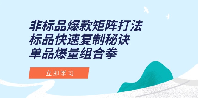 非标品爆款矩阵打法，标品快速复制秘诀，单品爆量组合拳壹加壹聊项目站壹加壹聊项目