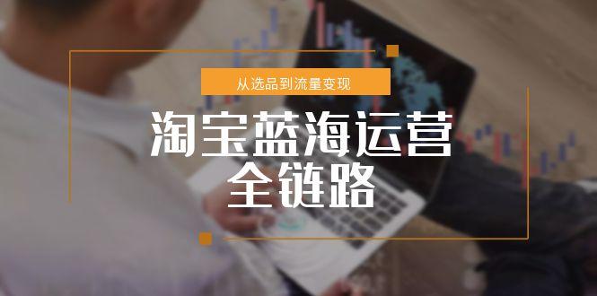 淘宝蓝海运营全链路，从选品到流量变现，小类目突围完整方案壹加壹聊项目站壹加壹聊项目