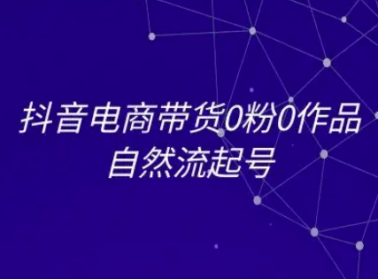 抖音电商带货0粉0作品自然流起号，抖音电商教程壹加壹聊项目站壹加壹聊项目