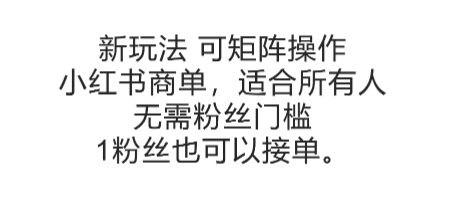 可矩阵操作，小红书商单新玩法，适合所有人，无需粉丝门槛，1粉丝也可以接单壹加壹聊项目站壹加壹聊项目