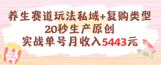 养生赛道玩法私域+复购类型，20秒生产原创实战单号月收入5k+壹加壹聊项目站壹加壹聊项目