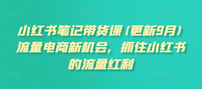 小红书笔记带货课(更新25年6月)流量电商新机会，抓住小红书的流量红利壹加壹聊项目站壹加壹聊项目