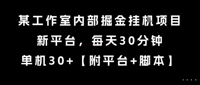 某工作室内部掘金挂G项目，新平台，每天30分钟，单机30+【揭秘】壹加壹聊项目站壹加壹聊项目