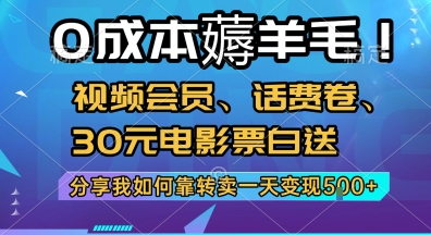 0成本薅羊毛!视频会员、话费卷、30元电影票白送，分享我如何靠转卖一天变现5张+【揭秘】壹加壹聊项目站壹加壹聊项目