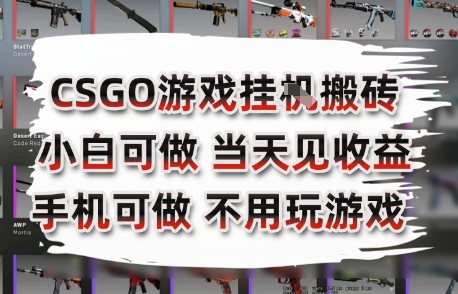CSGO游戏挂G搬砖，小白纯手机即可操作，不用电脑打游戏，日入3张+，副业网创项目【揭秘】壹加壹聊项目站壹加壹聊项目