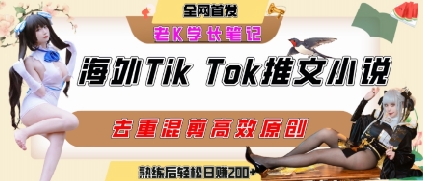 海外tiktok小说推文暴力项目，高停留率，高转化率，上手后一天搞顿饭钱不是问题壹加壹聊项目站壹加壹聊项目