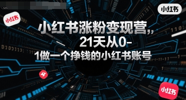 小红书涨粉变现营，21天从0-1做一个挣钱的小红书账号壹加壹聊项目站壹加壹聊项目