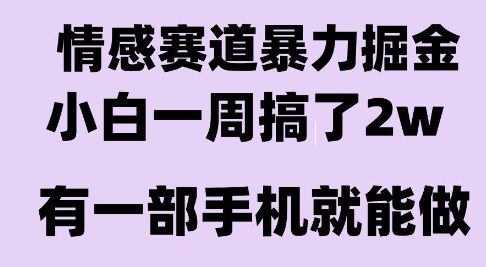情感暴力掘金项目，新人操作一周挣了2W，长期稳定小白可做【揭秘】壹加壹聊项目站壹加壹聊项目
