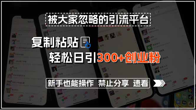 被大家忽略的引流平台，复制粘贴轻松日引300+创业粉，新手也能操作，禁…壹加壹聊项目站壹加壹聊项目